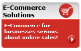 E-Commerce Solutions, ecommerce, content management, web development